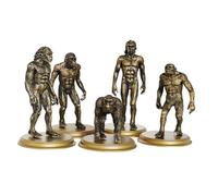 Homoyoyo 5pcs Human Evolution Model Educational Dark Gold Realistic Man Figurines Cognitive Learning Aid for Teaching History of Primitive People
