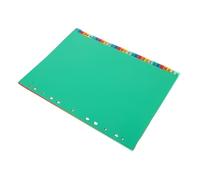 Homoyoyo 62pcs Plastic Binder Dividers with Tabs Multicolor Loose Leaf Index Organizer for Office School Home Document Protection and Filing