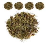 Homoyoyo Artificial Moss with Aesthetic Enhancement and Soil Surface Protection for Potted Plants and Planters 5 Packs Green Simulation Moss Plant for Tabletop Displays and Fairy Gardens