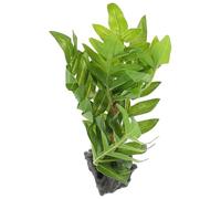 Homoyoyo Artificial Reptile Terrarium Plants Decoration with Weighted Base Safe Resin and Plastic Material Vibrant Color Fake Plant Decor for Reptile Habitats and Amphibian Tanks