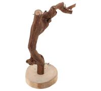 Homoyoyo Bird Training Perch Bird Training Stand Nonslip and Secure Gripping Multi-functional Design Wooden Material 8.65x5.89x3.54in Base Interacting Assorted style