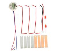 Homoyoyo DIY Fruit Battery Science Kit for Students Educational Physics Experiment with Zinc Copper Electrodes Creative Fruit Power Generation Project for Home and School Learning