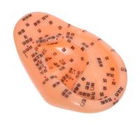 Homoyoyo Ear Anatomical Model with Chinese Annotations for Reflexology Learning Detailed Ear Pressure Zones for Massage and Acupuncture Practice Teaching Tool for Traditional Chinese