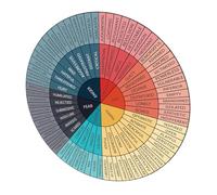 Homoyoyo Feelings Wheel Chart Stickers Vinyl Decals for Emotional Awareness Social Work Coping Skills Mental Health Posters Self Adhesive Educational Wall Decor for Classroom Office Laptop