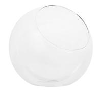 Homoyoyo Glass Terrarium Planter Featuring Versatile Use and Creative Design with Slanted Mouth Glass Desktop Plant Container for Air Plants and Succulents for Office and DIY Eco-bottle
