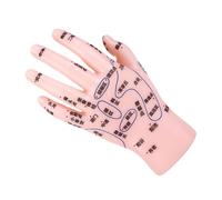 Homoyoyo Hand Reflexology Training Model Accurate Acupuncture Point Display for Teaching Learning Durable for Tcm Colleges Massage Therapy