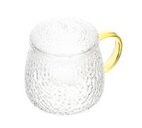 Homoyoyo Heat-Resistant Glass Tea Cup with Filter and Soaking Lid Household Mug for Hot and Cold Drinks Suitable for Tea Coffee Milk Office and Home Use