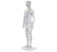 Homoyoyo Human Acupuncture Model Male Acupoint Mannequin with Accurate Pressure Point Markings for Chinese Medicine Teaching and Massage Training Full Body Meridians Display Model for