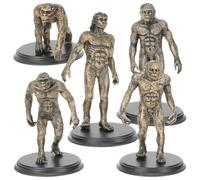 Homoyoyo Human Evolution Model Set 5pcs Primate Teaching Aids Plastic Figures Educational Science for History Learning and Sand Table Decor