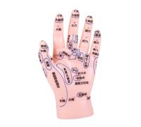 Homoyoyo Human Hand Reflexology Model for Tcm Education PVC Hand Display for Acupuncture Practice Medical Training and Massage Teaching Tool for Traditional Chinese Medicine Students