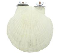 Homoyoyo Large Calcium Bird Perch for Parrots and Squirrels Bite and Scratch Stone for Birdcage Dental Care Stand for Indoor Budgie and Parrot Play and Exploration Random Color