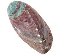 Homoyoyo Natural Abalone Shell Holder 10-11cm Rough Shell Ornament Grass Burning Container for Household and Temple Use