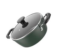 Homoyoyo Non-Stick Cast Stew Pot with Lid Blackish Green Creative Cookware for Braising Meat Boiling Soup and Cooking Rice Easy-Clean Saucepan for Healthy Home Cooking