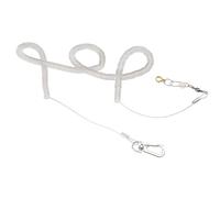 Homoyoyo Parrot Flying Training Rope Silver Chain for Pet Bird Harness for Flight Training and Outdoor Activities Includes Anklet and Foot Ring