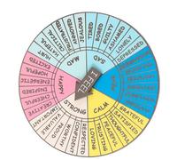 Homoyoyo Portable Feeling Wheel Badge Enamel Pin Metal Emotion Wheel Compact Accessory for Classmates Emotional Regulation Mental Health Therapy Brooch