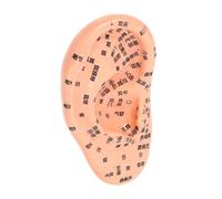 Homoyoyo PVC Ear Massage Model with Clear Acupoints Handmade Human Ear Simulation for Reflexology Training School Teaching Tool and Therapy Display Chocolate Color