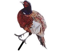 Homoyoyo Realistic Pheasant Stake Acrylic Sign Outdoor Chicken Ornament for Garden Courtyard Decoration Lightweight Front Display