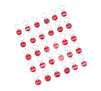 Homoyoyo Red Aluminium Luggage Id Tags Metal with Key Rings for Classifying and Naming Keys, Suitable for Landlords and Property Managers, with 30 Pieces