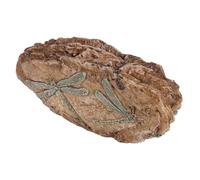 Homoyoyo Resin Insect Remnant Specimen Brown for Reptile Terrarium with Educational Function Realistic Simulation Design for Science Education and Collector Display