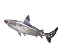 Homoyoyo Shark and Delicate Workmanship, Lightweight Wall Sculpture Stainless Steel Wall Decor with Artistic Sense Shark-shaped for Home Decoration and Garden Decoration