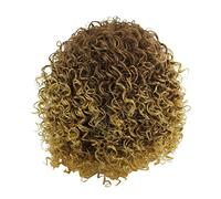 Homoyoyo Short Curly Brown Mixed Wigs for Women Synthetic Hair Cosplay Wig Daily Replacement Natural Look Comfortable and Ventilative for Parties Casual Wear