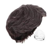 Homoyoyo Short Grey Wig For Men Heat-resistant Natural Look Male Hair Wig With Realistic Hairline Easy For Business Halloween Parties And Everyday Wear