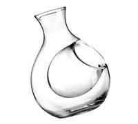 Homoyoyo Transparent Glass Wine Decanter for Home Bar Use Practical Whiskey and Red Wine Dispenser with Crystal Glass Heat-Resistant Design Suitable for Restaurant and Hotel