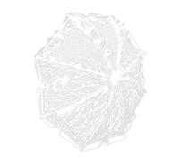 Homoyoyo White Lace Bridal Parasol for Wedding Photography and Performances | Aluminium Alloy Frame, Stage Show Prop, Decorative Bridal Accessory, White Finish, for Shows and Photo Shoots