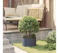 Hompiper Planter Ring Anthracite 30 x 30 x 20 cm Cold-rolled Steel Suitable for planting flowers and herbaceous plants ZSSAB-UK873596UK