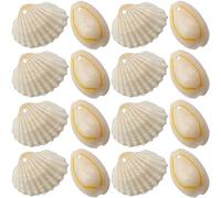 HOMSFOU 1set Natural Drilled Conch Shells for DIY Crafting Fish Tank Decorations and Jewelry Making Safe Durable Shell Accessories for Home Decor 100pcs