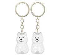 HOMSFOU 2pcs Pet Hair Memorial Keychain Storage Box with Abs Material for Convenient Storage and Versatile Use, Pet Remembrance Keepsake for Dog and Cat Owners