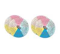HOMSFOU 2sets Emotion Wheel Badge Durable Feeling Wheel Decor Pin with Smooth Gloss Finish Compact Lightweight Emotions Accessory for Mental Health Therapy and Craft Gifts 2pcs*2