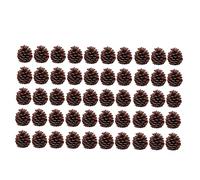 HOMSFOU 50pcs Lifelike Pine Cones for Christmas Decor Natural Xmas Ornaments for Home Kitchen Party Holiday Decoration for Table Showcase Craft Projects