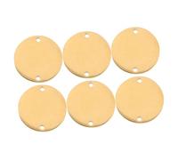 HOMSFOU 6pcs Stainless Steel Round Blank Tags Stamping for Diy Pet Id Tags Puppy Necklace Charms