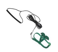 HOMSFOU Adjustable Parrot Outdoor Harness with Cute Wing Design Lightweight Polyester Bird Training Rope for Cockatiel and Same Size Parrots, for Travel and Adventures