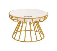 HOMSFOU Ceramic Cat Bowl Elevated with Gold Iron Stand, 2pcs Raised Pet Feeding Dish Set with Anti-neck Strain Design, Suitable for Cats and Kittens