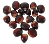HOMSFOU Christmas Ornaments 20pcs Fake Chestnut Chestnuts Ornament Artificial Nuts Model Photography Props for Christmas Cabinet Home Kitchen Decoration