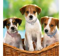 HOMSFOU Elastic Rhinestone Dog Collar with Metal Bone Charm, Comfortable for Day Wearing, Creative Vibrant Blue and White Design, for Pet Parties and Stylish Pets