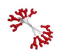 HOMSFOU LED Lobster Festival Light String LED USB Decorative Lamp with Remote Red Party and Christmas for Indoor Outdoor Patio Bedroom Garden