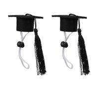 HOMSFOU Pet Dr Hat Graduation Dog Dr Hat Pet Decoration 2pcs Felt Cloth for Party for Turtles Hedgehogs