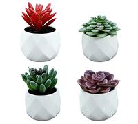 HOMSFOU Realistic Artificial Succulent Plants 4pcs Flocking Style Decorative Fake Succulents for Office Home Balcony
