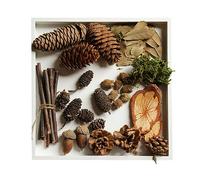 HOMSFOU Rustic Retro Vintage Photo Booth Props Natural Wood Branches Acorns Pine Cones Leaves Ornaments for Diy Craft Home Decoration 3.15In Twig Set