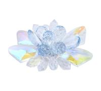 HOMSFOU Shoe Clip Attachable on Front Side Or Back Glass Elegant Crystal for Women Instant Shoe Decoration Charm with Flower Design Suitable for Parties and Daily Life