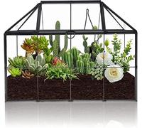 Homtone Geometric Terrarium 23cm, House Shape Black Glass Box Planter | Large Handmade, Vintage Tabletop Miniature Flower Pot for Succulent, Cacti, Air Plants