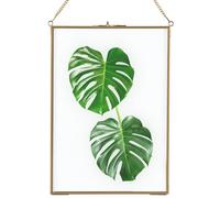 Homtone Glass Frame for Wall 21x30 cm, Floating Display Frame | Hanging Glass Picture Frame, Pure Copper Press Glass Frame for Flowers Pattern Plants, Photo DIY Artwork
