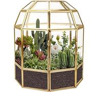 Homtone Large Geometric Terrarium 18cm, Golden Birdcage Shape | Vintage Tabletop Miniature Flower Pot for Succulent, Cacti, Air Plants, Handmade Glass Box Planter