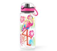 HomTune Cute Water Bottle for School Kids Girls, BPA FREE Tritan & Leak Proof & Easy Clean & Carry Handle, 23oz/ 680ml - Flamingo