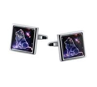 Homxi Cufflinks for Men Wedding Groom,Men Cufflinks Shirts 12 Constellation Square Leo Mens Cuff Links Stainless Steel Silver