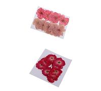 Homyl 20 Pieces Mixed Size Real Pressed Dried Flowers Cherry Blossom & Embellishments DIY Materials Card Making Jewelry Resin Crafts Scrapbooking Art