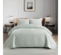 Homzard Velvet Quilt Set Queen Size Bedding Set,Mint Quilts Queen Size, Luxury Velvet Comforter, Light Green Bedspreads,Soft Lightweight Bed Set 3 Piece All Season